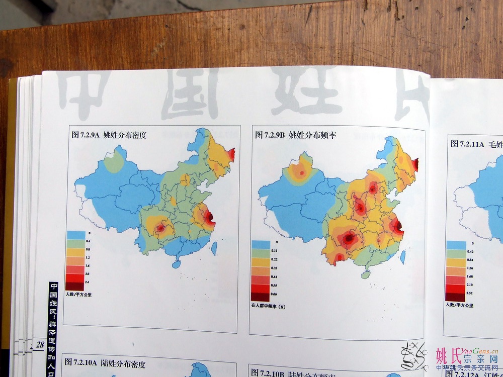 姚姓在人群中分布频率示意图(见图62)表明:姚姓分布很广,但不均衡,在