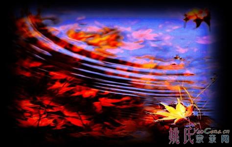 u=1549994333,2747778835&amp;fm=23&amp;gp=0.jpg