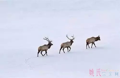 826366153699680372.jpg
