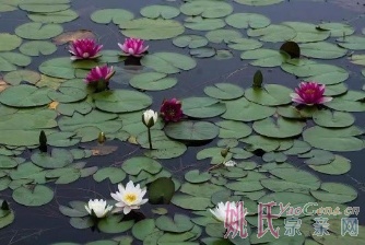 微信图片_20240204133427.jpg